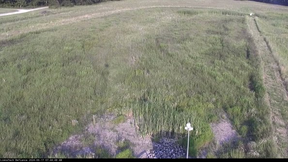 Cell 1_24-06-17_07-44-49-33