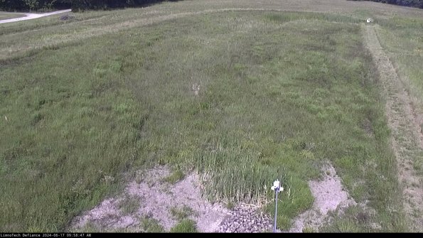 Cell 1_24-06-17_09-58-48-34