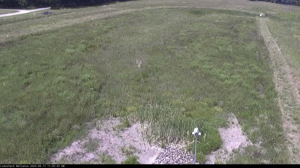 Cell 1_24-06-17_11-05-48-35