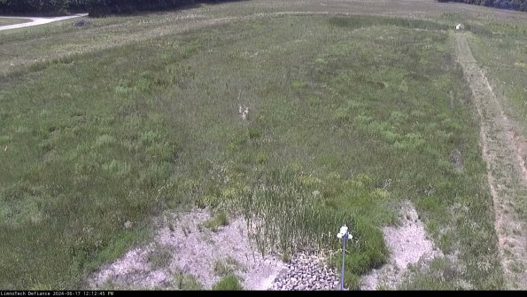 Cell 1_24-06-17_12-12-46-31