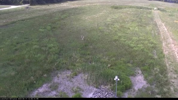 Cell 1_24-06-17_12-46-16-33