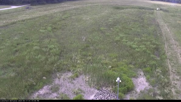 Cell 1_24-06-17_13-19-45-35