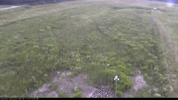 Cell 1_24-06-17_17-14-10-35