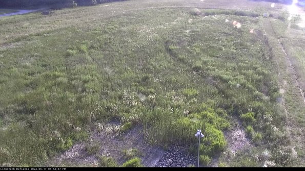 Cell 1_24-06-17_18-54-38-34