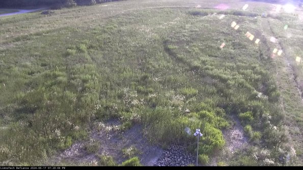 Cell 1_24-06-17_19-28-07-35