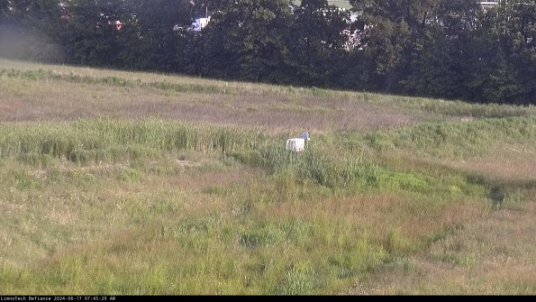 Cell 2 to 3_24-06-17_07-45-29-50