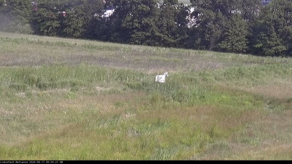 Cell 2 to 3_24-06-17_09-59-28-38