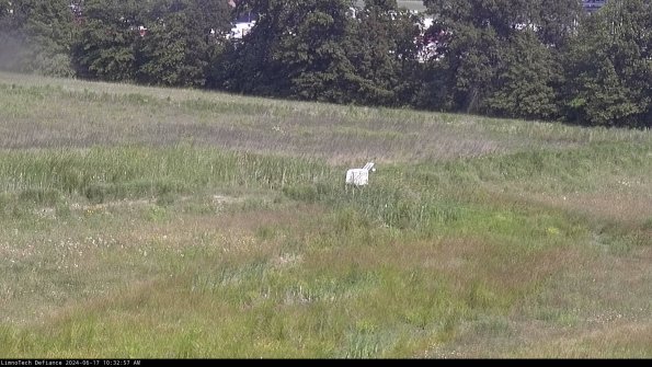 Cell 2 to 3_24-06-17_10-32-57-50