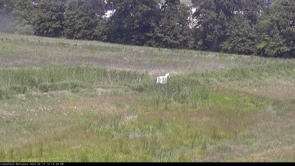 Cell 2 to 3_24-06-17_12-13-26-45