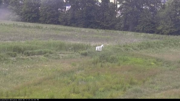 Cell 2 to 3_24-06-17_13-53-55-44