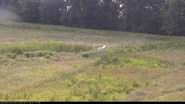 Cell 2 to 3_24-06-17_16-41-20-41