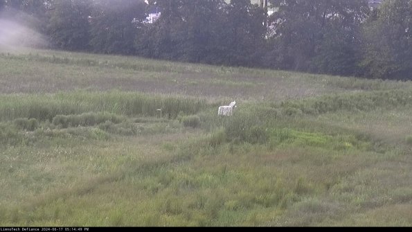 Cell 2 to 3_24-06-17_17-14-50-43