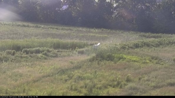 Cell 2 to 3_24-06-17_18-55-18-51