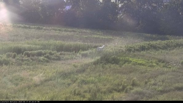 Cell 2 to 3_24-06-17_19-28-47-46