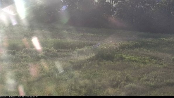 Cell 2 to 3_24-06-17_20-02-16-48