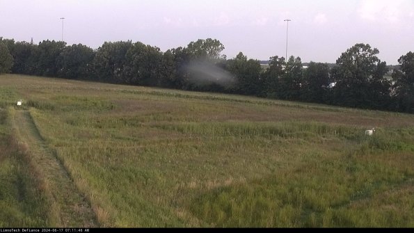 Cell 2_24-06-17_07-11-47-34