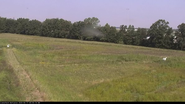 Cell 2_24-06-17_09-59-15-37