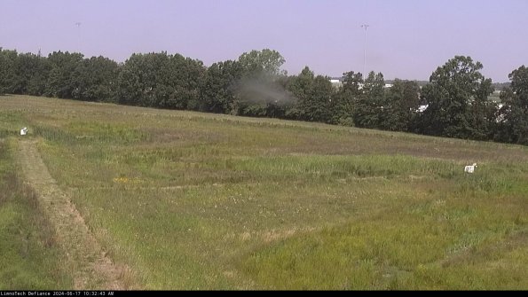 Cell 2_24-06-17_10-32-44-39