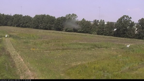 Cell 2_24-06-17_11-39-45-36