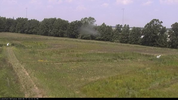 Cell 2_24-06-17_12-13-13-34