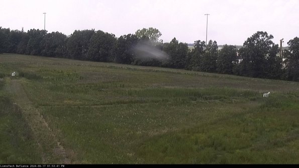 Cell 2_24-06-17_13-53-42-36