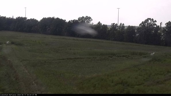 Cell 2_24-06-17_16-07-38-35