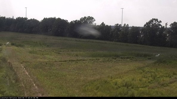 Cell 2_24-06-17_16-41-07-33