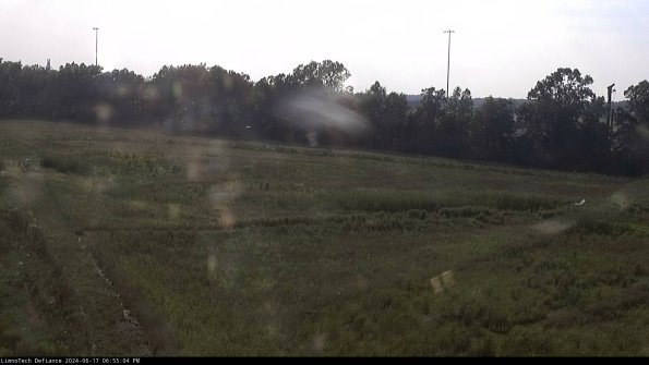 Cell 2_24-06-17_18-55-05-40