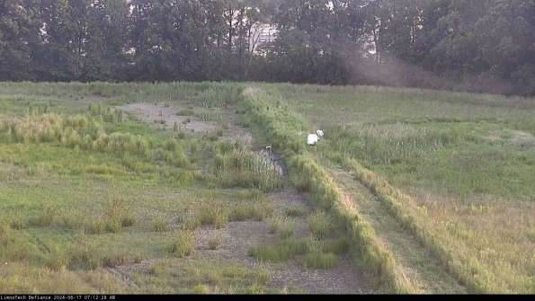 Cell 3 to 4_24-06-17_07-12-29-35