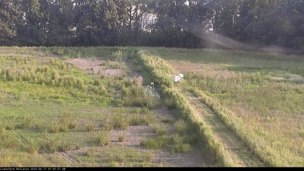 Cell 3 to 4_24-06-17_07-45-58-33