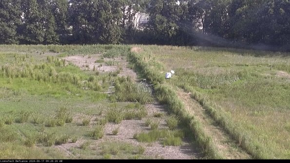 Cell 3 to 4_24-06-17_09-26-27-33