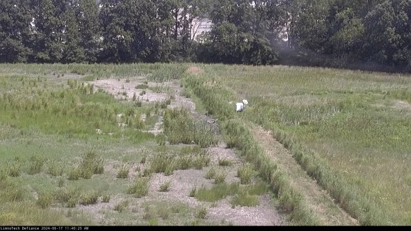 Cell 3 to 4_24-06-17_11-40-26-33