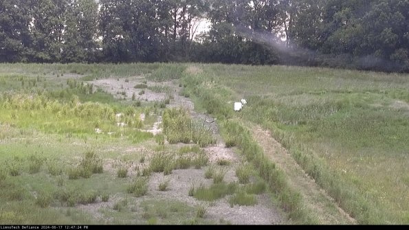 Cell 3 to 4_24-06-17_12-47-25-34