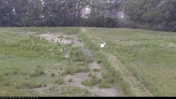 Cell 3 to 4_24-06-17_13-54-24-33