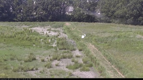 Cell 3 to 4_24-06-17_15-01-21-33