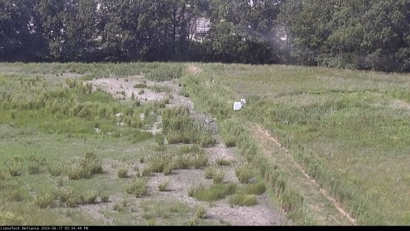 Cell 3 to 4_24-06-17_15-34-50-35