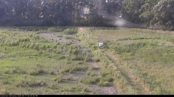 Cell 3 to 4_24-06-17_18-55-47-34