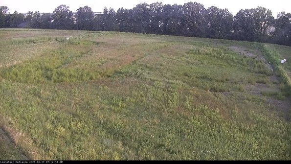 Cell 3_24-06-17_07-12-15-33