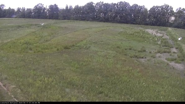 Cell 3_24-06-17_13-54-10-35