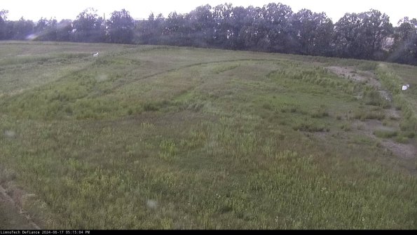 Cell 3_24-06-17_17-15-05-34