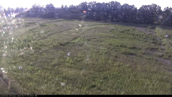 Cell 3_24-06-17_19-29-02-34