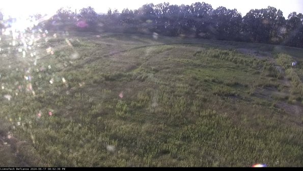 Cell 3_24-06-17_20-02-31-36