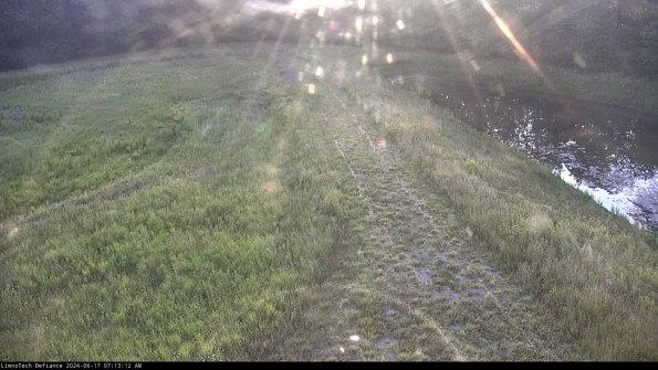 Cell 4 to Basin_24-06-17_07-13-13-32