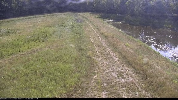 Cell 4 to Basin_24-06-17_10-00-40-32