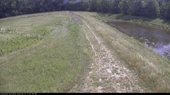 Cell 4 to Basin_24-06-17_11-41-10-34