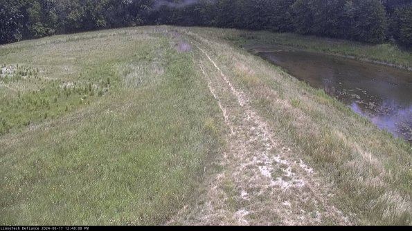 Cell 4 to Basin_24-06-17_12-48-09-31