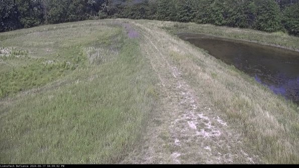 Cell 4 to Basin_24-06-17_16-09-03-34