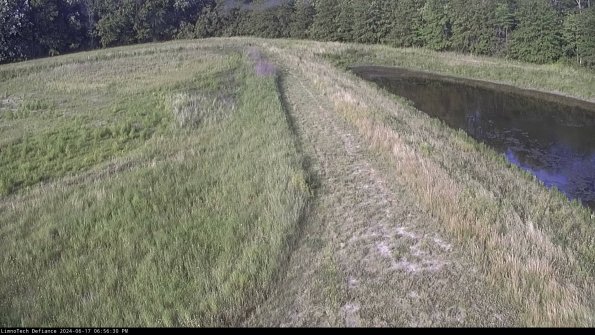 Cell 4 to Basin_24-06-17_18-56-31-35