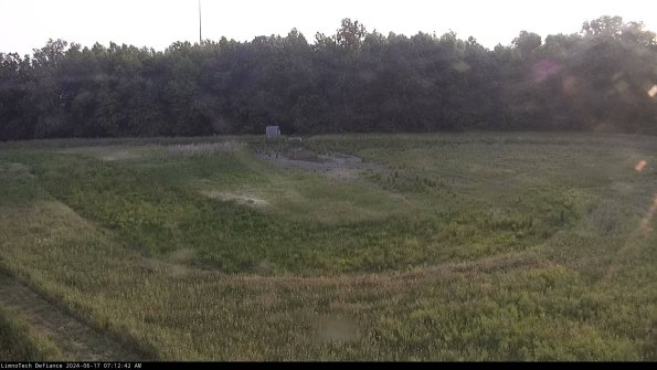 Cell 4_24-06-17_07-12-43-33