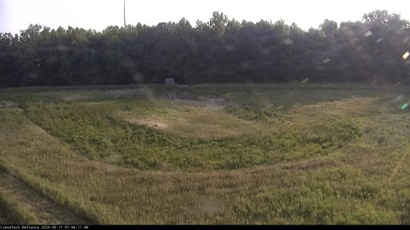 Cell 4_24-06-17_07-46-12-31